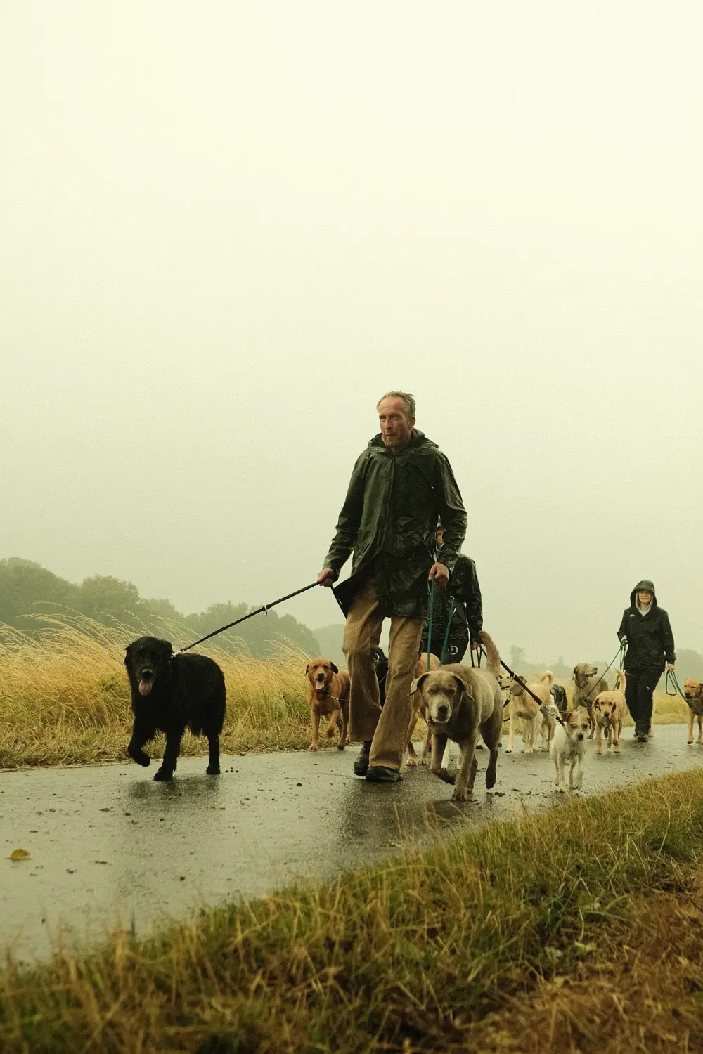 Spatziergänge mit den Hunden bei Wind und Regen